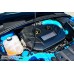 Cal Pony Cars Carbon Fiber Engine Plenum Cover for the Ford Focus RS / ST