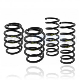 Mountune Sport Spring Set for the Ford Focus RS (Set of 4)